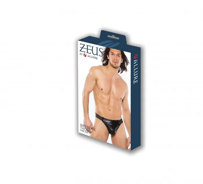 Allure Lingerie Teddies And Bodies Wet Look Thong One Size