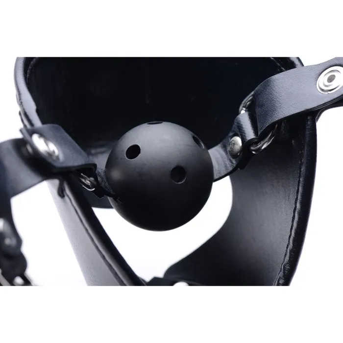 Pup Puppy Play Hood and Breathable Ball Gag | Moon Vybes Couples Pup Puppy Play Hood and Breathable Ball Gag | Moon Vybes Couples
